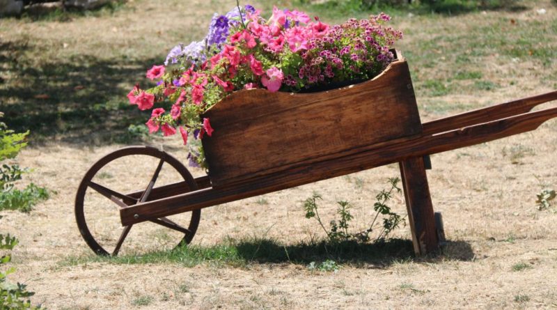 carriola con fiori alla Madonna del Pollino