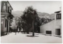 vanedda dei Pircalli