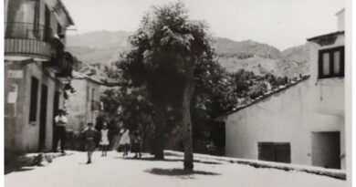 vanedda dei Pircalli