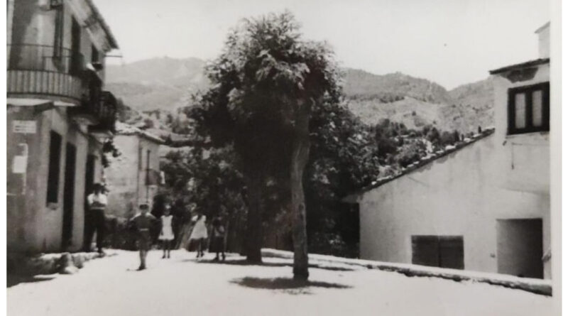 vanedda dei Pircalli