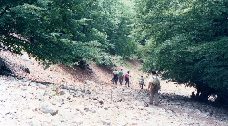 il tratturo della Transumanza